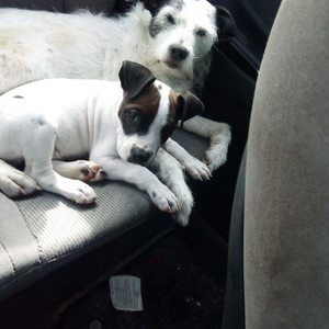 Meet your Posher, James